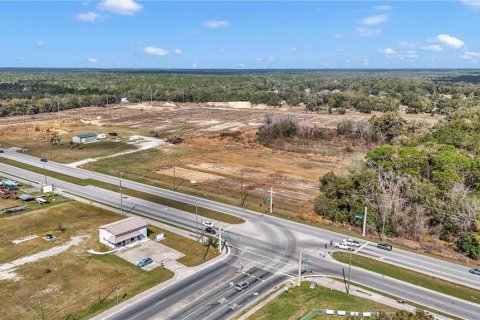 Land in Hernando, Florida № 1552132 - photo 8