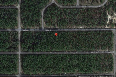 Terrain à vendre à Dunnellon, Floride № 2213961 - photo 5