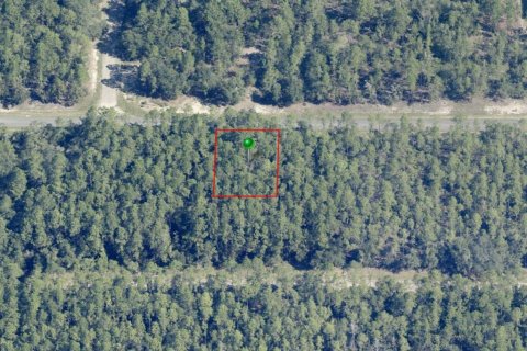 Terrain à vendre à Dunnellon, Floride № 2213961 - photo 4
