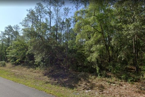 Terrain à Dunnellon, Floride № 2213961