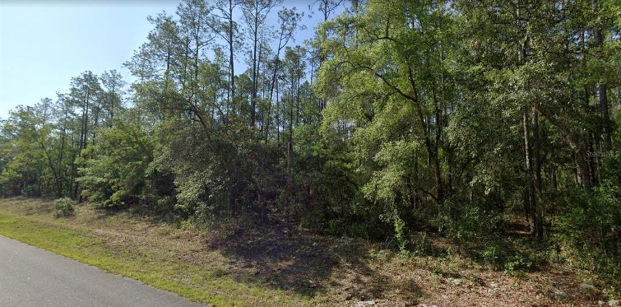 Terrain à Dunnellon, Floride № 2213961