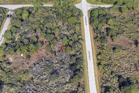 Land in Port Charlotte, Florida № 2159670 - photo 9