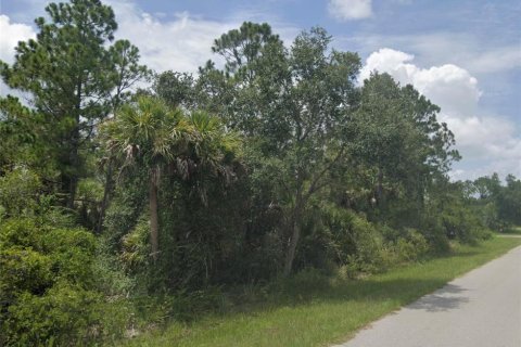 Land in Port Charlotte, Florida № 2159670 - photo 10