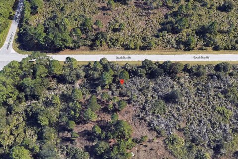 Land in Port Charlotte, Florida № 2159670 - photo 4