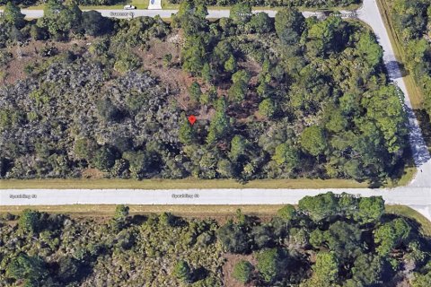 Land in Port Charlotte, Florida № 2159670