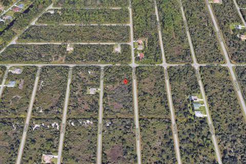 Land in Port Charlotte, Florida № 2159670 - photo 11