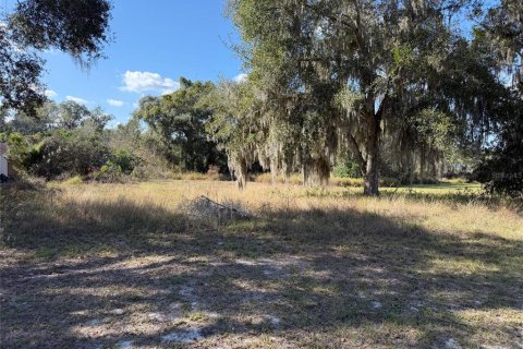 Land in Mascotte, Florida № 2118074