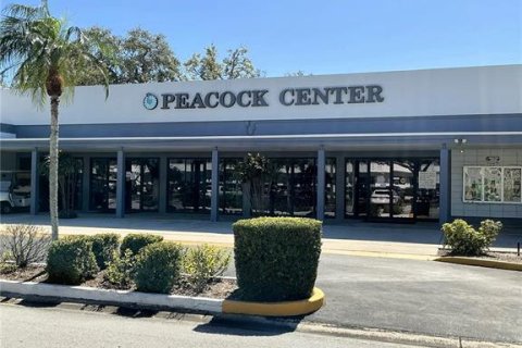 Copropriété à vendre à Seminole, Floride: 1 chambre, 58.34 m2 № 1575237 - photo 20