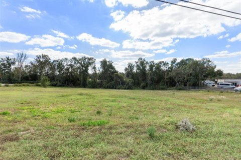 Terreno en venta en Inverness, Florida № 1564384 - foto 21
