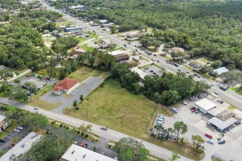 Terreno en venta en Inverness, Florida № 1564384 - foto 2