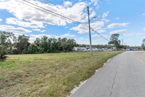Terreno en venta en Inverness, Florida № 1564384 - foto 20