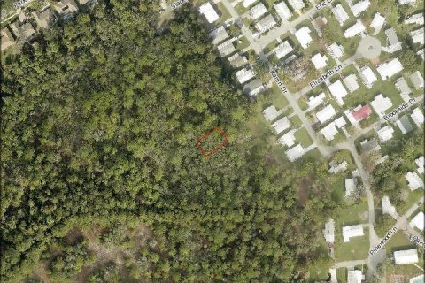 Land in Mount Dora, Florida № 2163743