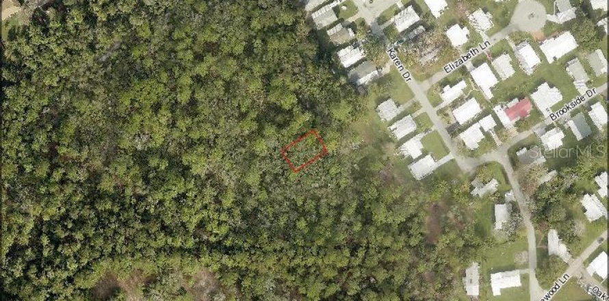 Land in Mount Dora, Florida № 2163743