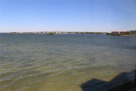 Condo in Dunedin, Florida, 1 bedroom № 2131031 - photo 7