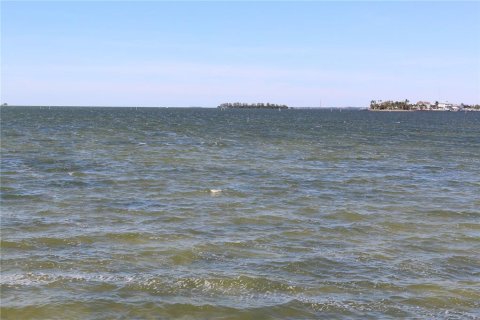 Condo in Dunedin, Florida, 1 bedroom № 2131031 - photo 6