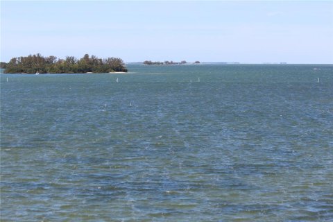 Condo in Dunedin, Florida, 1 bedroom № 2131031 - photo 4