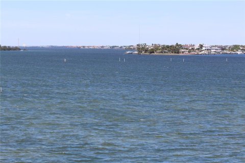 Condo in Dunedin, Florida, 1 bedroom № 2131031 - photo 5