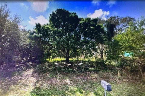 Land in Punta Gorda, Florida № 2164190 - photo 4