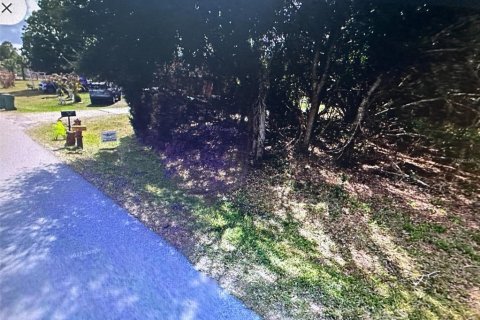 Land in Punta Gorda, Florida № 2164190 - photo 2