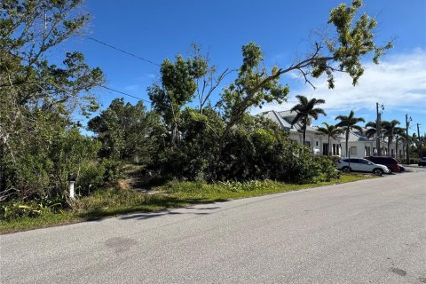 Land in Punta Gorda, Florida № 1544647 - photo 4