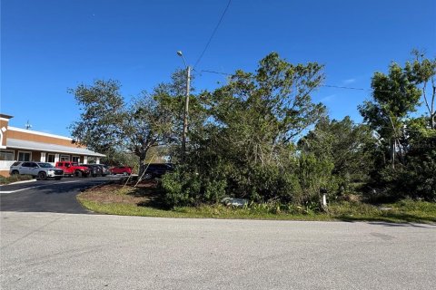 Land in Punta Gorda, Florida № 1544647 - photo 3