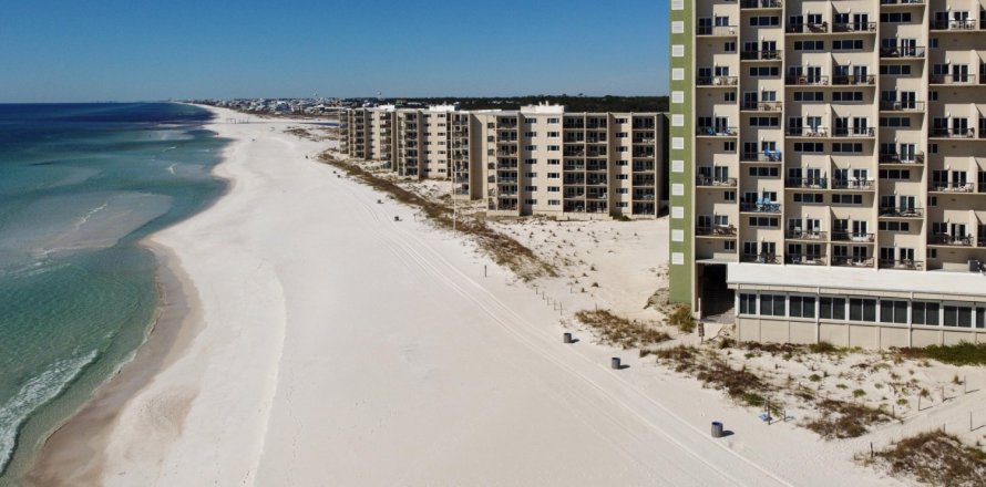 Condo in Panama City Beach, Florida, 1 bedroom № 560128