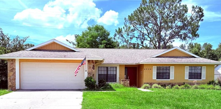 House in Tampa, Florida 4 bedrooms, 204.11 sq.m. № 1807012