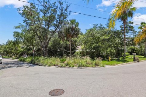 Villa ou maison à vendre à Dunedin, Floride: 8 chambres, 277.22 m2 № 1883610 - photo 15