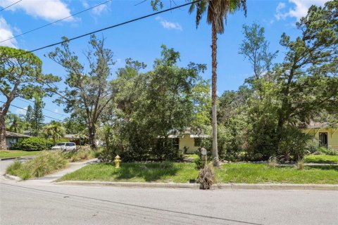 Villa ou maison à vendre à Dunedin, Floride: 8 chambres, 277.22 m2 № 1883610 - photo 14