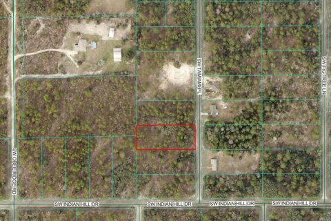 Land in Dunnellon, Florida № 2167841