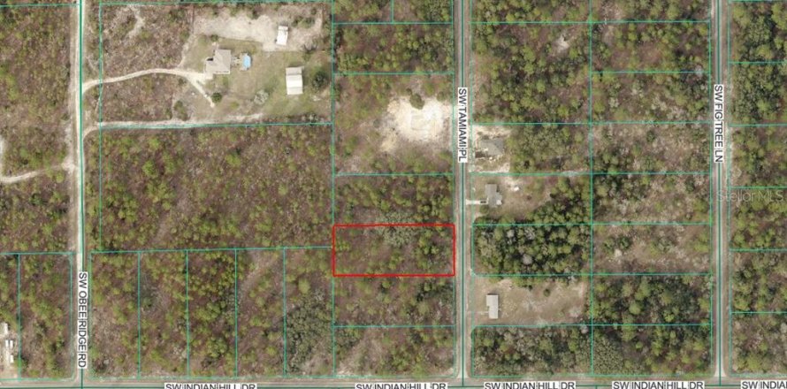 Land in Dunnellon, Florida № 2167841