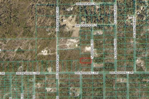 Land in Dunnellon, Florida № 2167841 - photo 2
