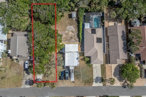 Land in New Smyrna Beach, Florida № 2098782 - photo 3