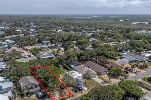 Land in New Smyrna Beach, Florida № 2098782 - photo 5