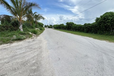 Commercial property in Miami-Dade, Florida № 2013183 - photo 5