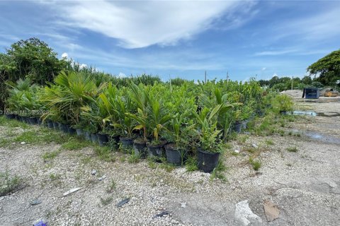 Commercial property in Miami-Dade, Florida № 2013183 - photo 7