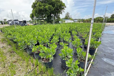 Commercial property in Miami-Dade, Florida № 2013183 - photo 8