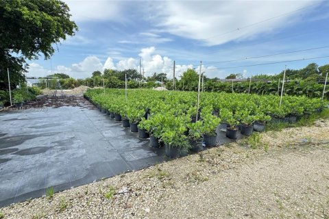 Commercial property in Miami-Dade, Florida № 2013183 - photo 12