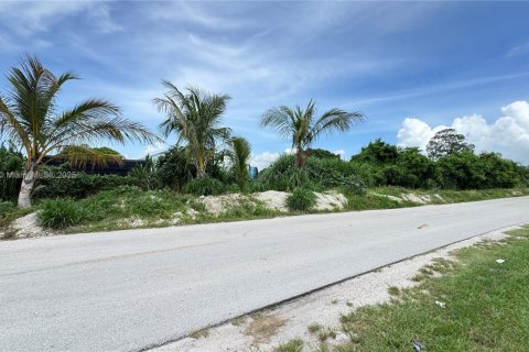 Commercial property in Miami-Dade, Florida № 2013183 - photo 4