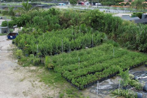 Commercial property in Miami-Dade, Florida № 2013183 - photo 6