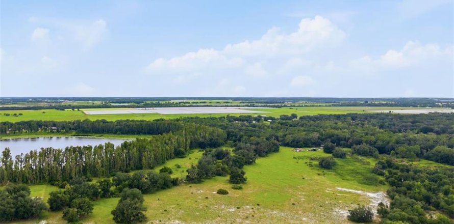 Terrain à Wimauma, Floride № 2350053