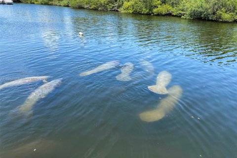 Condominio en venta en Aventura, Florida, 2 dormitorios, 87.7 m2 № 1817636 - foto 16