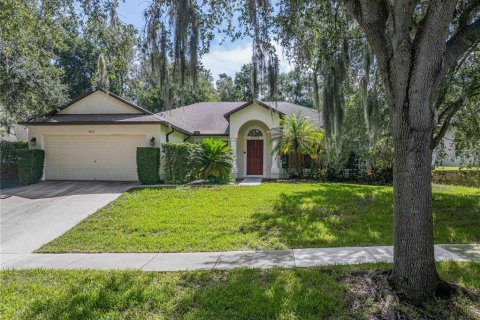 House in Riverview, Florida 5 bedrooms, 248.42 sq.m. № 2295298