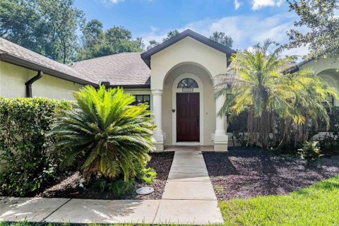 Villa ou maison à vendre à Riverview, Floride: 5 chambres, 248.42 m2 № 2295298 - photo 3