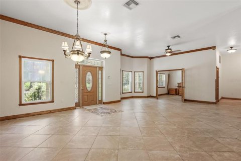 Villa ou maison à vendre à DeLand, Floride: 4 chambres, 311.78 m2 № 2317241 - photo 6
