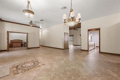 Villa ou maison à vendre à DeLand, Floride: 4 chambres, 311.78 m2 № 2317241 - photo 11