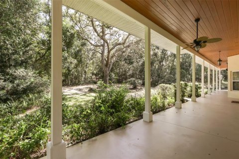 Villa ou maison à vendre à DeLand, Floride: 4 chambres, 311.78 m2 № 2317241 - photo 4