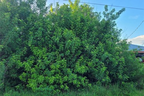 Купить земельный участок в Порт-Шарлотт, Флорида № 1843112 - фото 2
