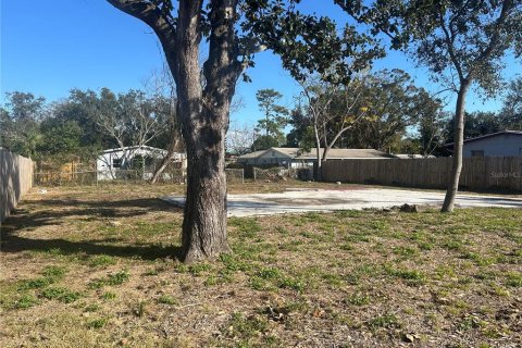 Terreno en venta en Holiday, Florida № 1560781 - foto 12