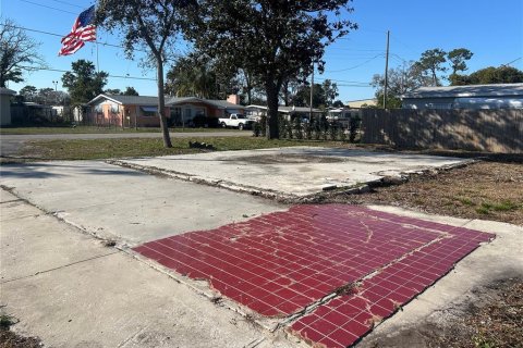 Land in Holiday, Florida № 1560781 - photo 14